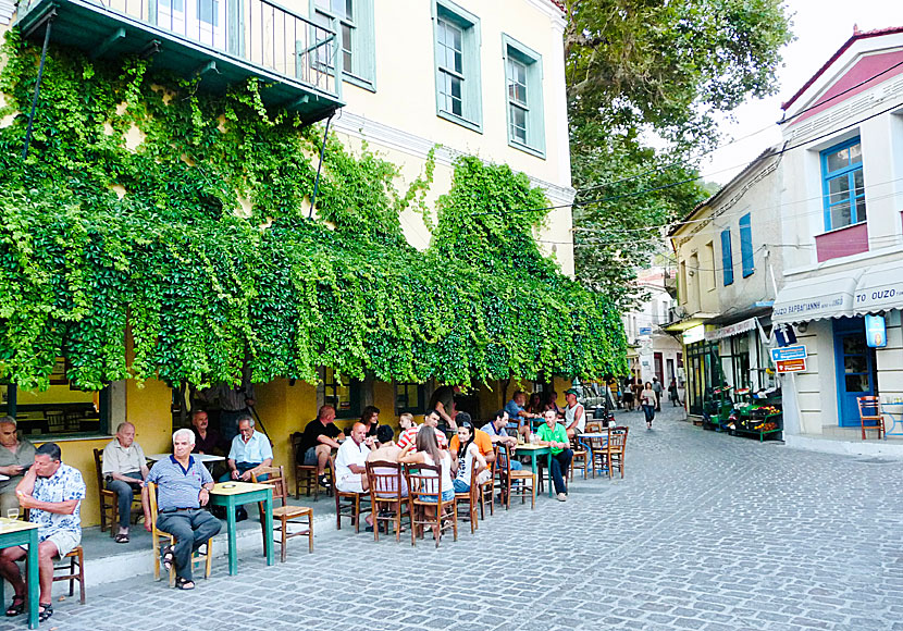 In Plomari in Lesvos there are several cozy cafes and taverns.
