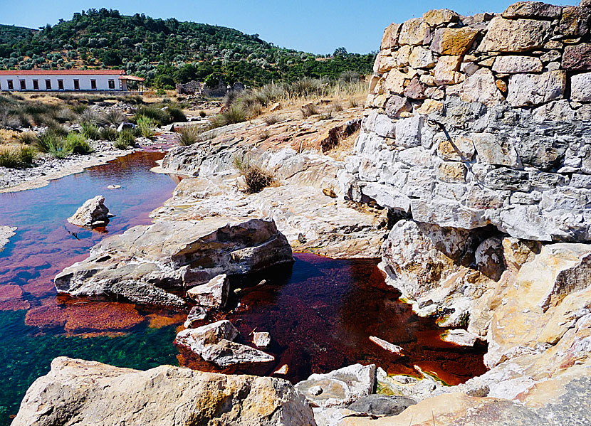 Don't miss the Hot Springs of Polichnitos when you visit the Hot Springs of Eftalou in Lesvos.