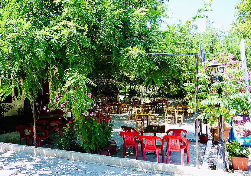 Good tavernas and restaurants in Vatousa on Lesvos in Greece.
