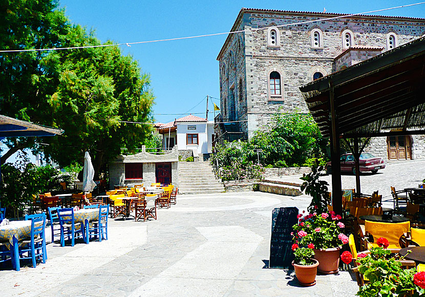 Restaurants, taverns, cafes and bars in the village of Sigri on Lesbos.