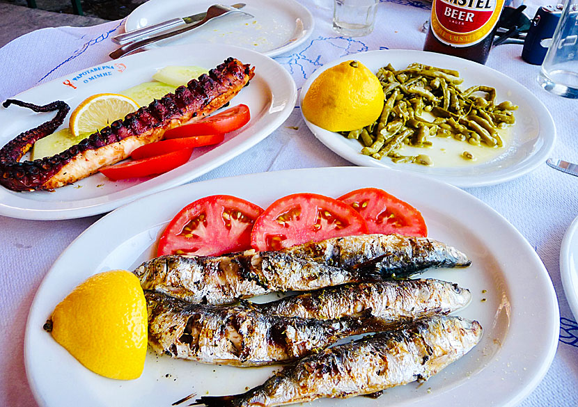 Skala Kalloni is the main place for sardine fishing in Lesvos.