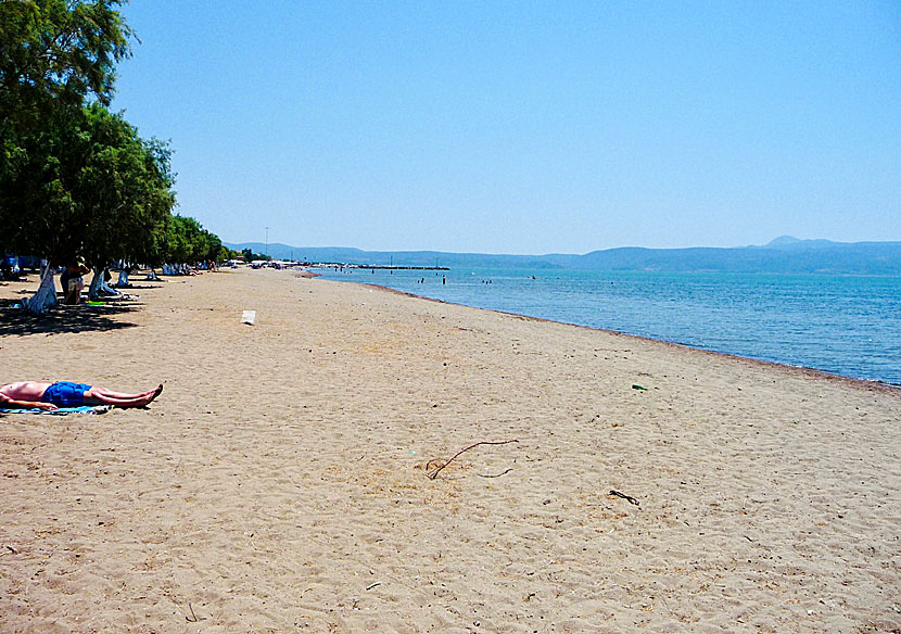 The long sandy beach in Skala Kalloni.