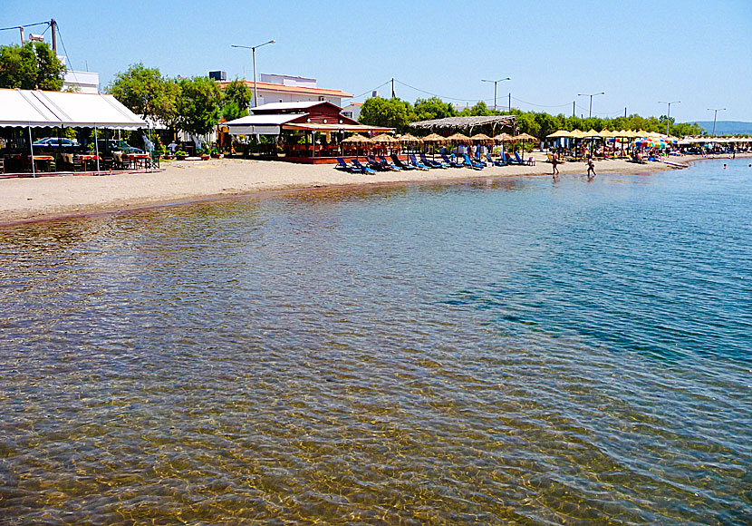 The sandy beach in Kalloni Bay is one of the longest in Lesvos.