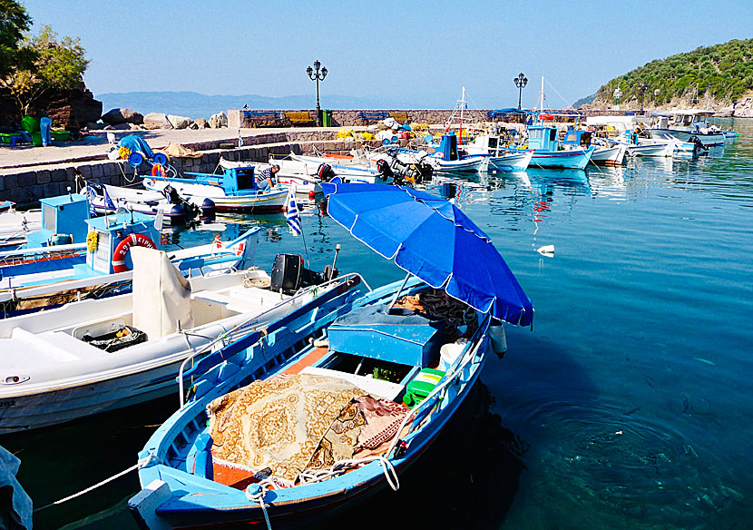 The port of Skala Sikaminias on Lesvos.