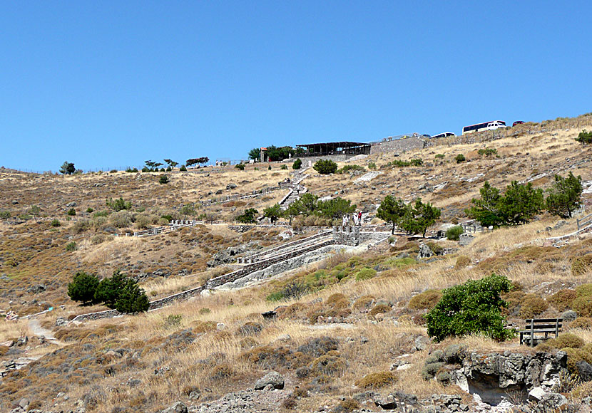 The petrified forest in Lesvos.