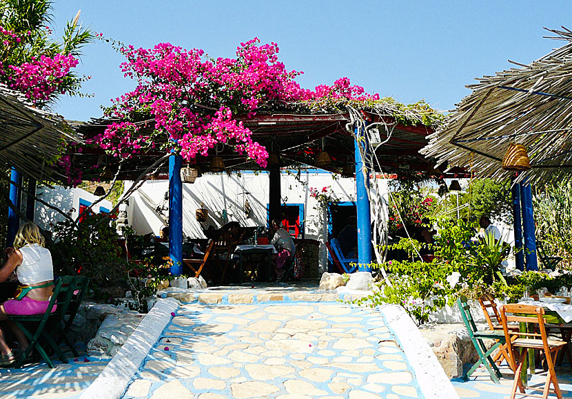Taverna Dialaila at Katsadia beach in Lipsi.