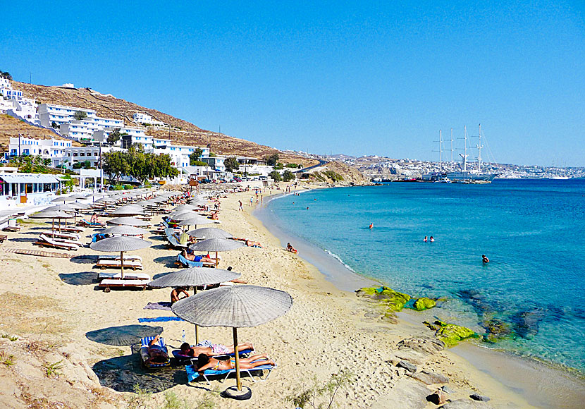 The best beaches on Mykonos. Agios Stefanos beach.