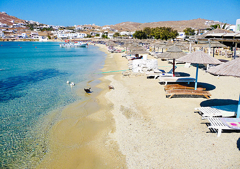 Ornos beach on Mykonos in Greece.