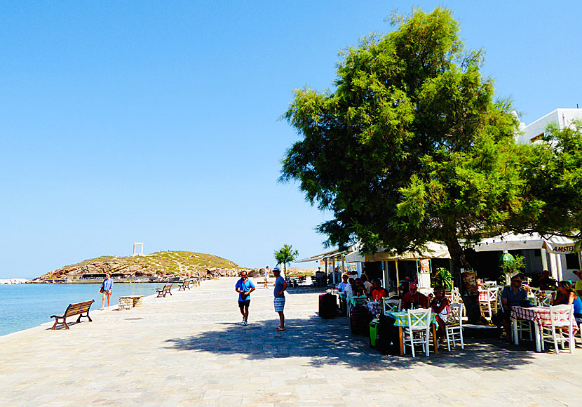 There are several cafes and taverns in the port of Naxos where you can sit and wait for the ferry.