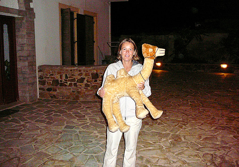 Are there camels in Greece? Yes, on Naxos.