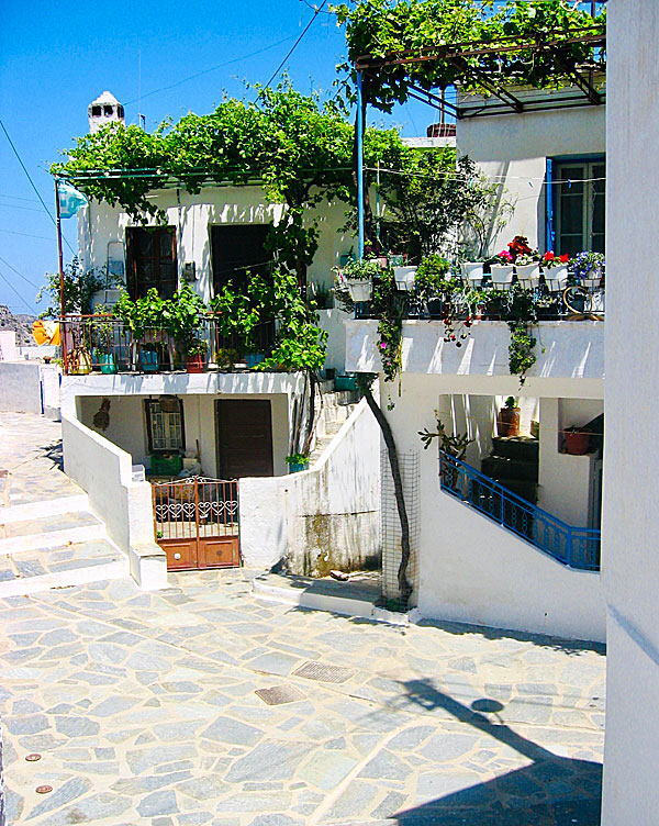 Danakos is one of Naxos most genuine and picturesque villages.