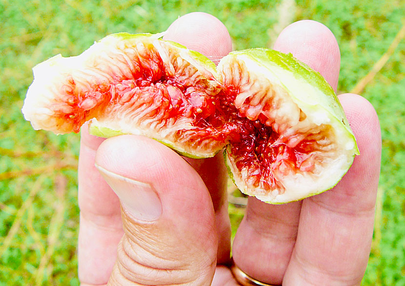 Figs from Greece.