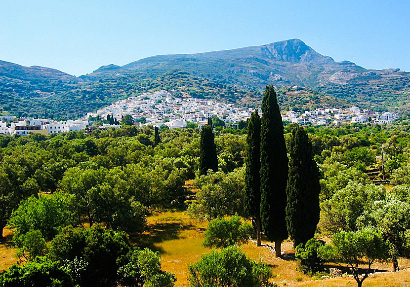 Don't miss Naxos' second largest village, Filoti, when you visit the village of Chalki.