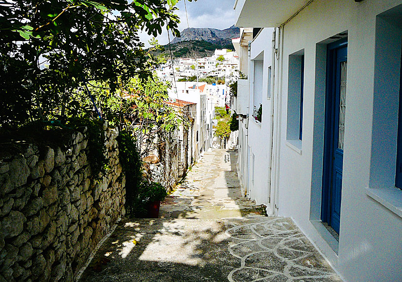One of many winding alleys in Filoti.