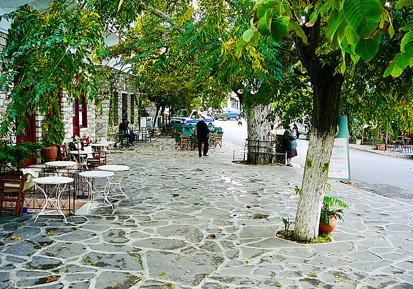The main street in Filoti with its square with plane trees, cafes and tavernas.