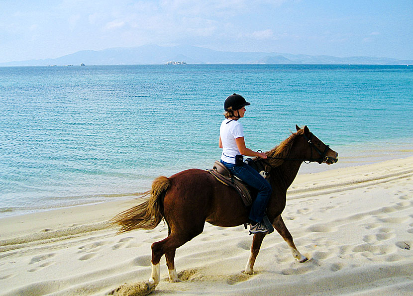 Horseback riding along the beaches of Naxos in Greece.