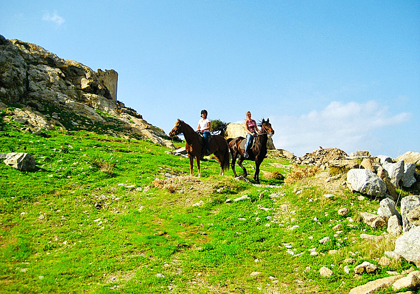 Horseback riding in the mountains of Naxos.