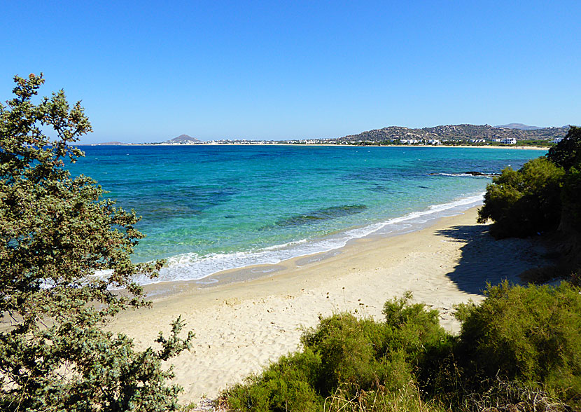 The best beaches on Naxos. Orkos beach.