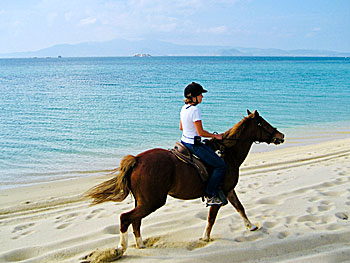 Horseback riding along the beaches of Naxos.