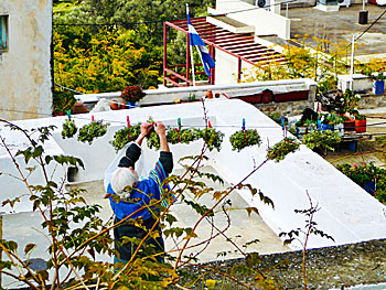Excursion to the villages of Damalas and Filoti in Naxos.