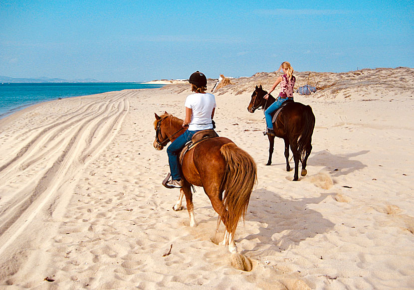 Horseback riding on Plaka beach on Naxos.