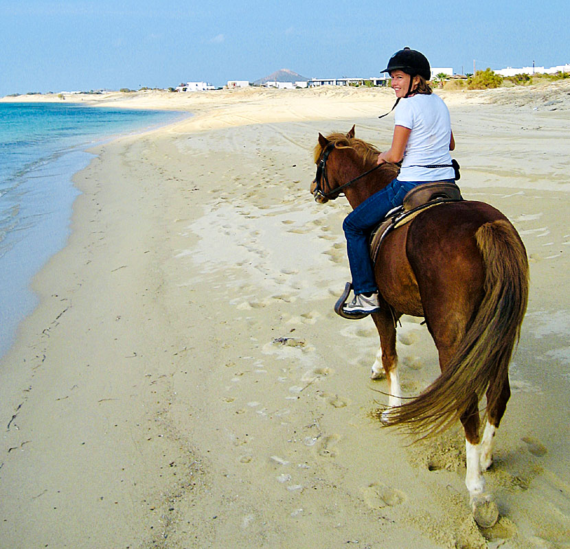 Excursion with horses along the beaches of Naxos.
