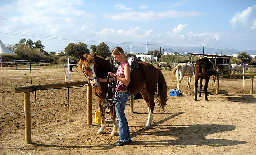 Stamatis Horse Riding in Agia Anna on Naxos in Greece.