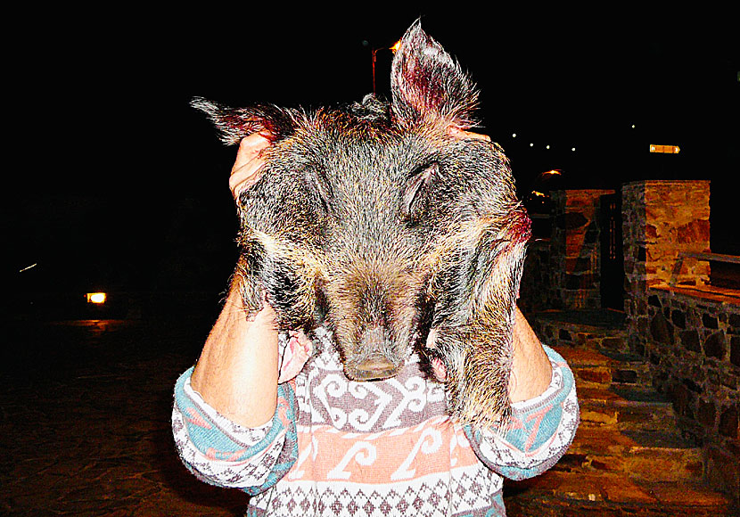 Masquerades, parades, festivals and wild boars on Naxos in the Cyclades.