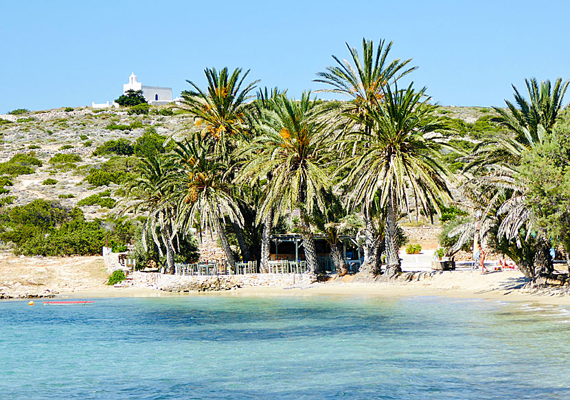 The palm beach of Agia Irini on western Paros.