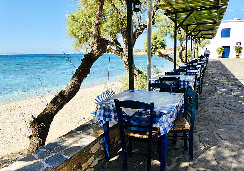 Taverns, restaurants and hotels at Drios beach on Paros in the Cyclades.