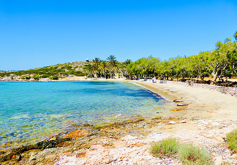 The best beaches on Paros. Agia Irini beach.