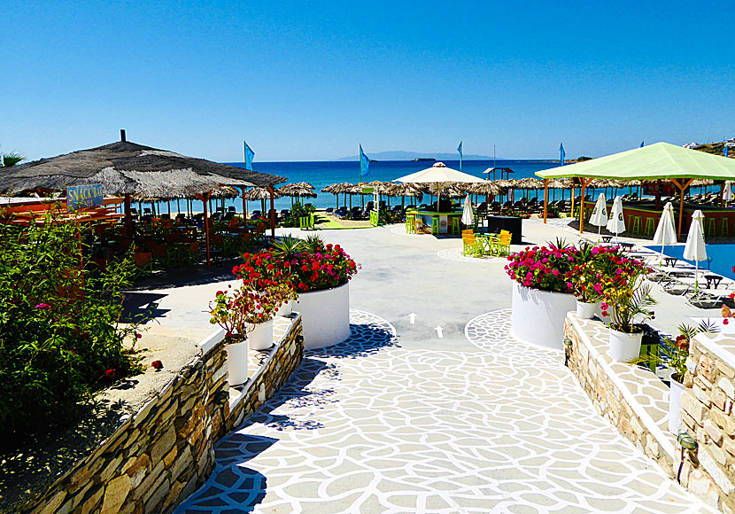 Viva Punda bar at Pounda beach on Paros.