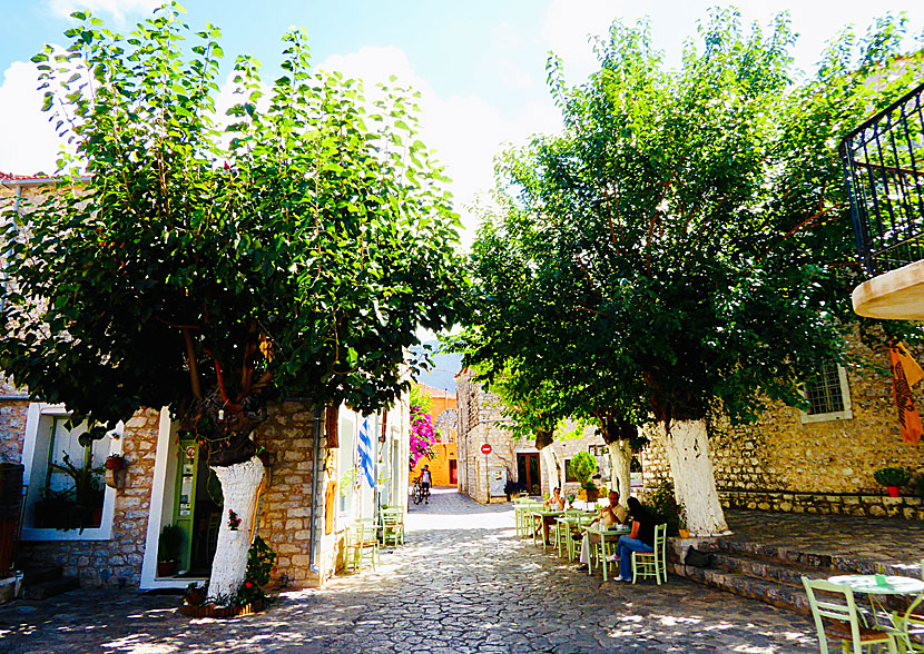 Cafe at March 17th 1821 Square in Areopoli.