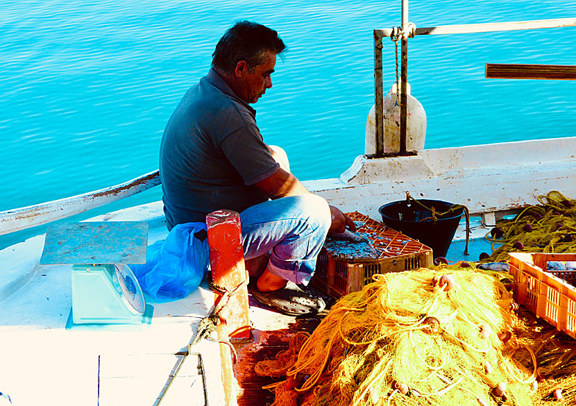 If you like fresh fish and seafood, you will love the fish restaurants in Pylos.
