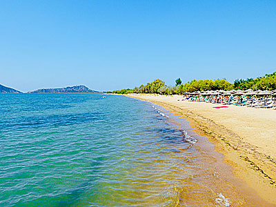 Gialova beach north of Pylos in the Peloponnese.