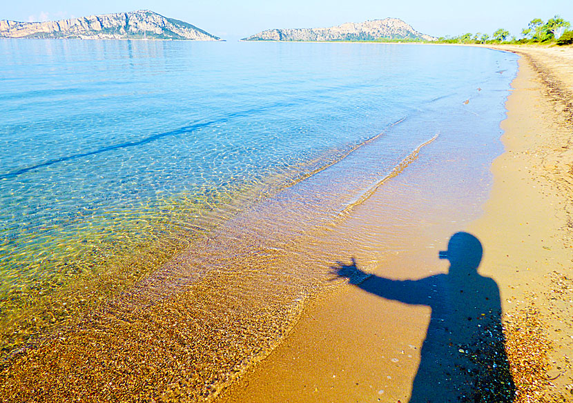 Golden beach near Voidokilia and Pylos in the Peloponnese.