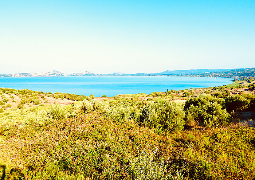 Navarino bay off Pylos in the southwestern Peloponnese.