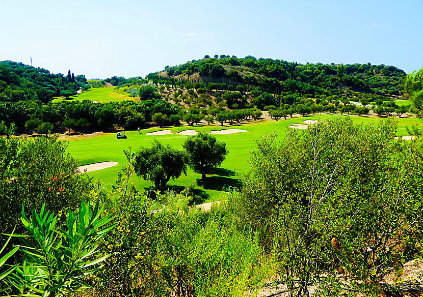 Play golf in Costa Navarino in the southwestern Peloponnese in Greece.