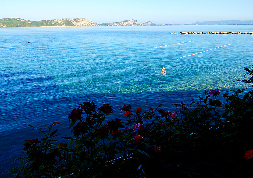 Snorkeling in Pylos in the Peloponnese.