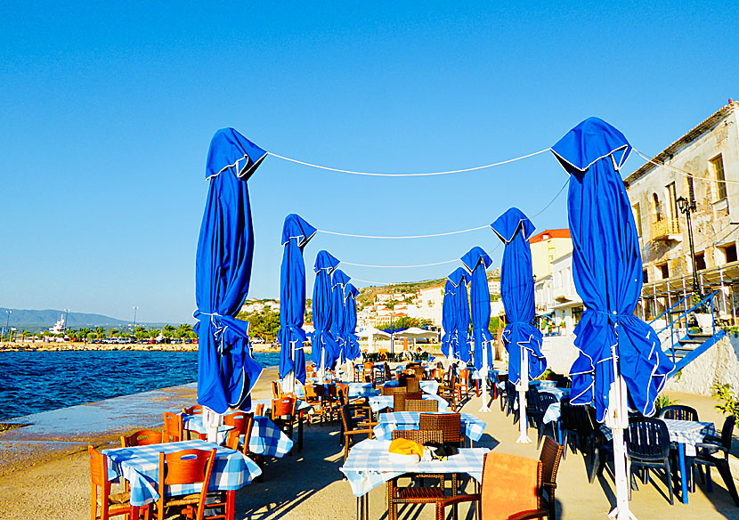 Fresh calamari and cold retsina at a restaurant by the bathing pier in Pylos.
