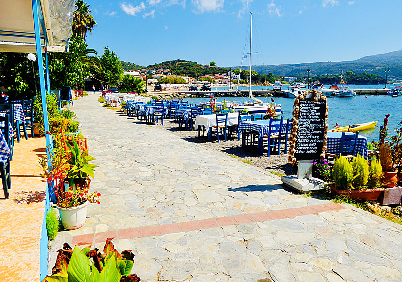 Good restaurants and tavernas in Finikounda in the Peloponnese.