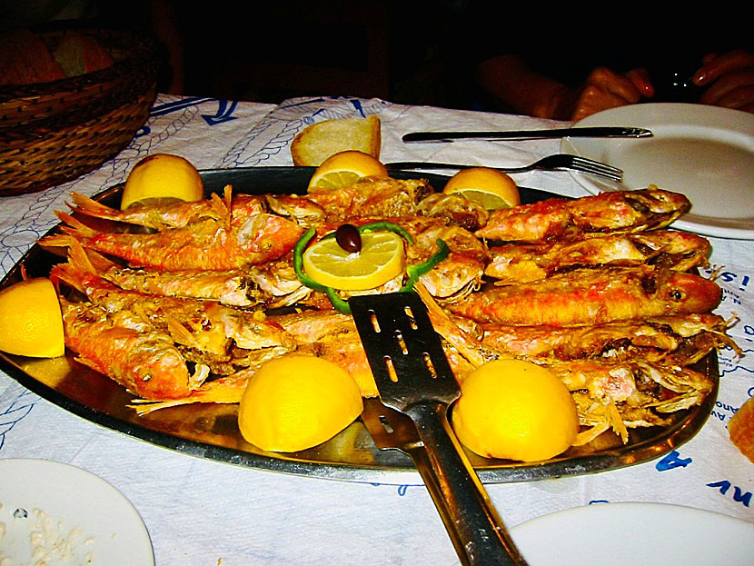 Red Mullet - Barbouni - is the tastiest and most expensive fish in Greece.