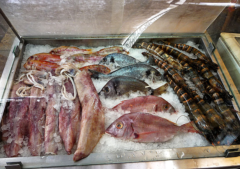 Fresh fish and seafood in Greece.