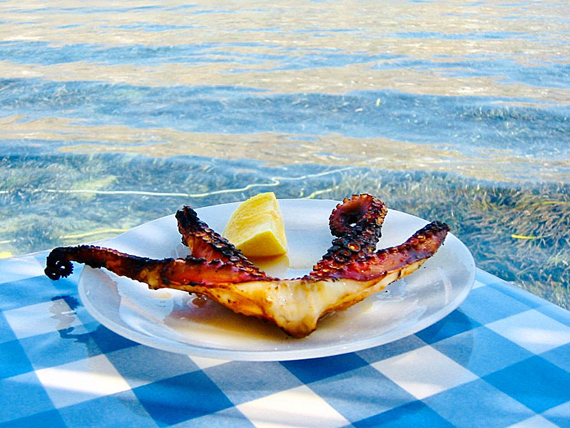 Starters and appetizers from Greece. Grilled octopus - Octapodi psito - is very good together with ouzo.