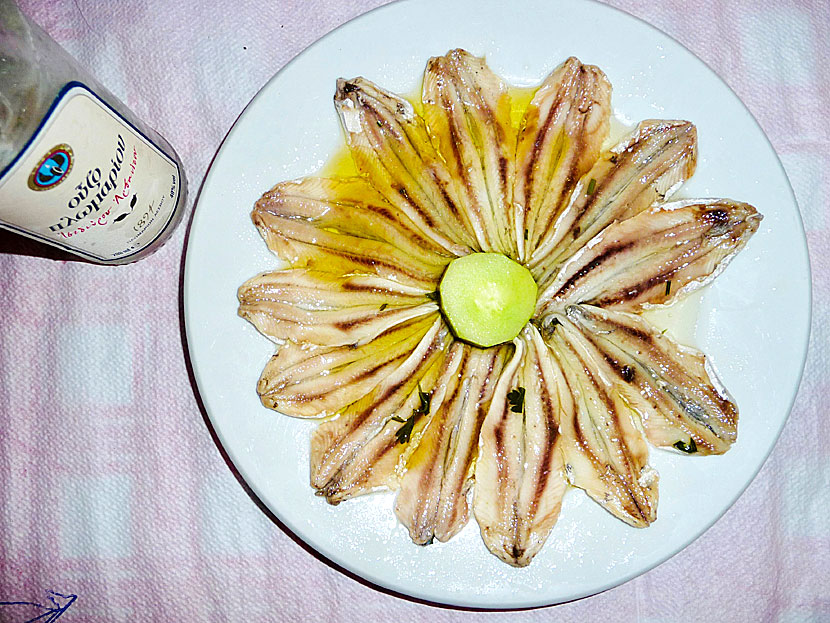 Starters and appetizers from Greece. Marinated anchovies - Gavros marinatos - are raw anchovy fillets marinated in lemon oil, garlic and oregano.