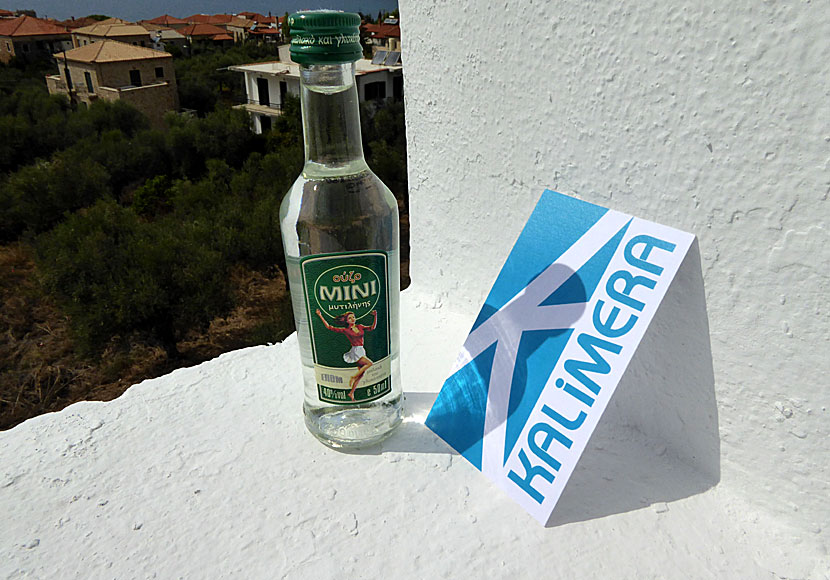 In the shadow of a small Ouzo, in this case Ouzo Mini from Lesvos.