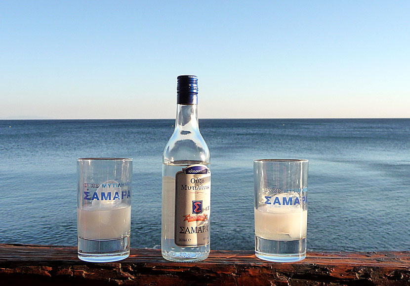 Ouzo Samara from Lesvos at a restaurant in Skala Eressou.