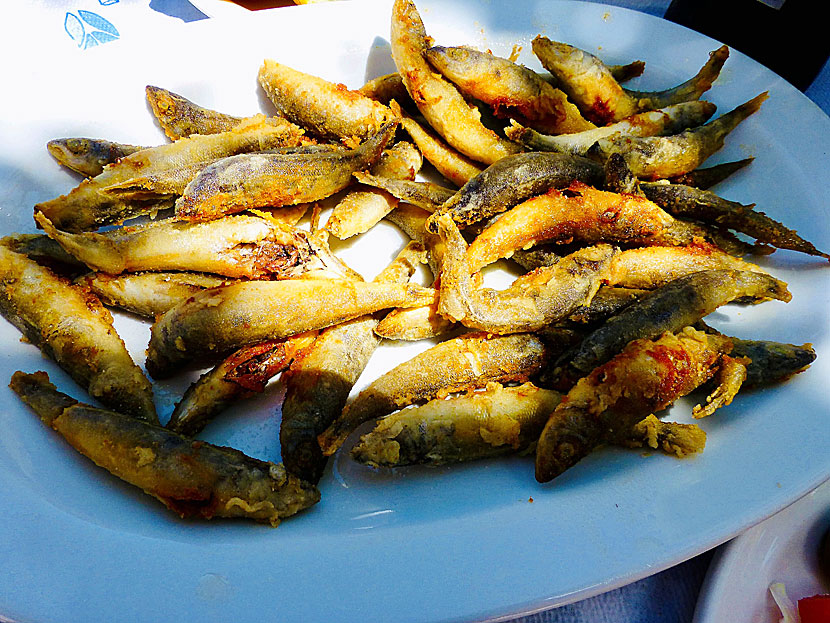 Starters and appetizers from Greece. Small fried fish - Tiganites - eaten whole with bones and all.