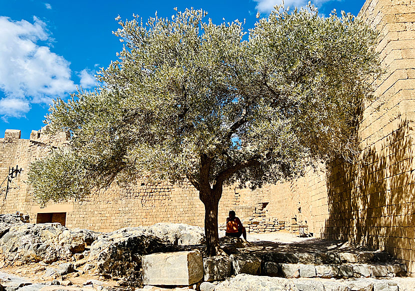 There is little shade and there is no water to buy inside the walls of the Acropolis in Rhodes.