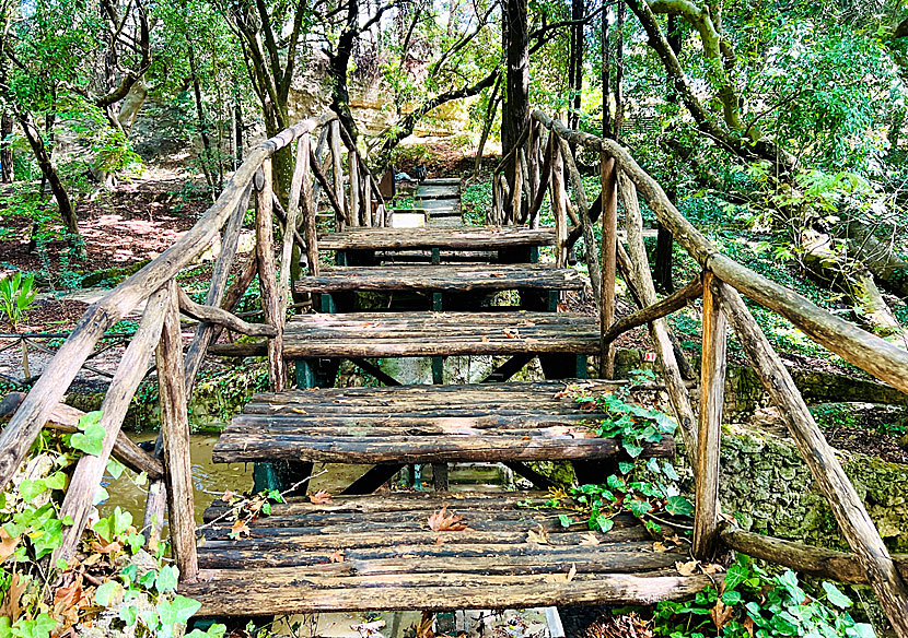 Wooden bridges in the Rodini Park.